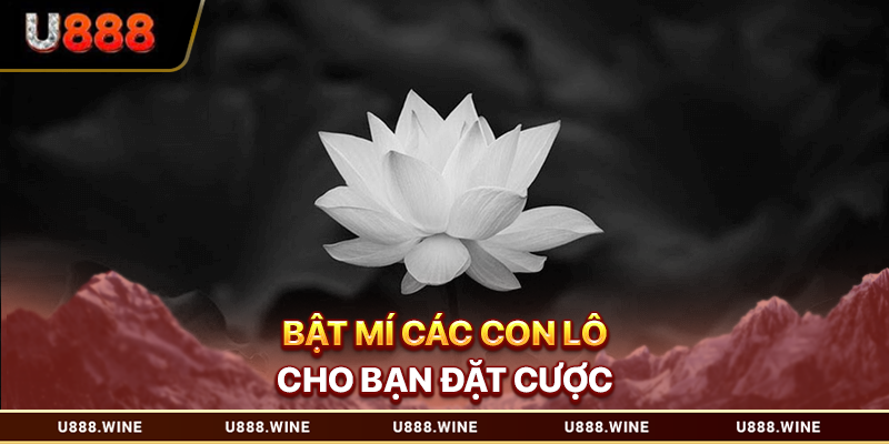 Mơ Thấy Người Chết - Con Số May Mắn Cho Dân Cá Cược 2026 Bật mí các con lô cho bạn đặt cược